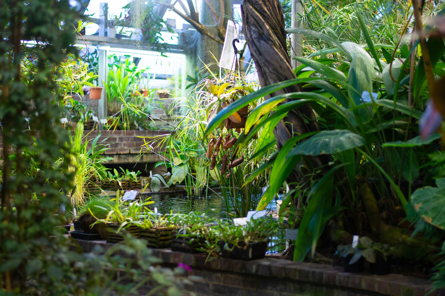 Water feature inside a room full of green plants