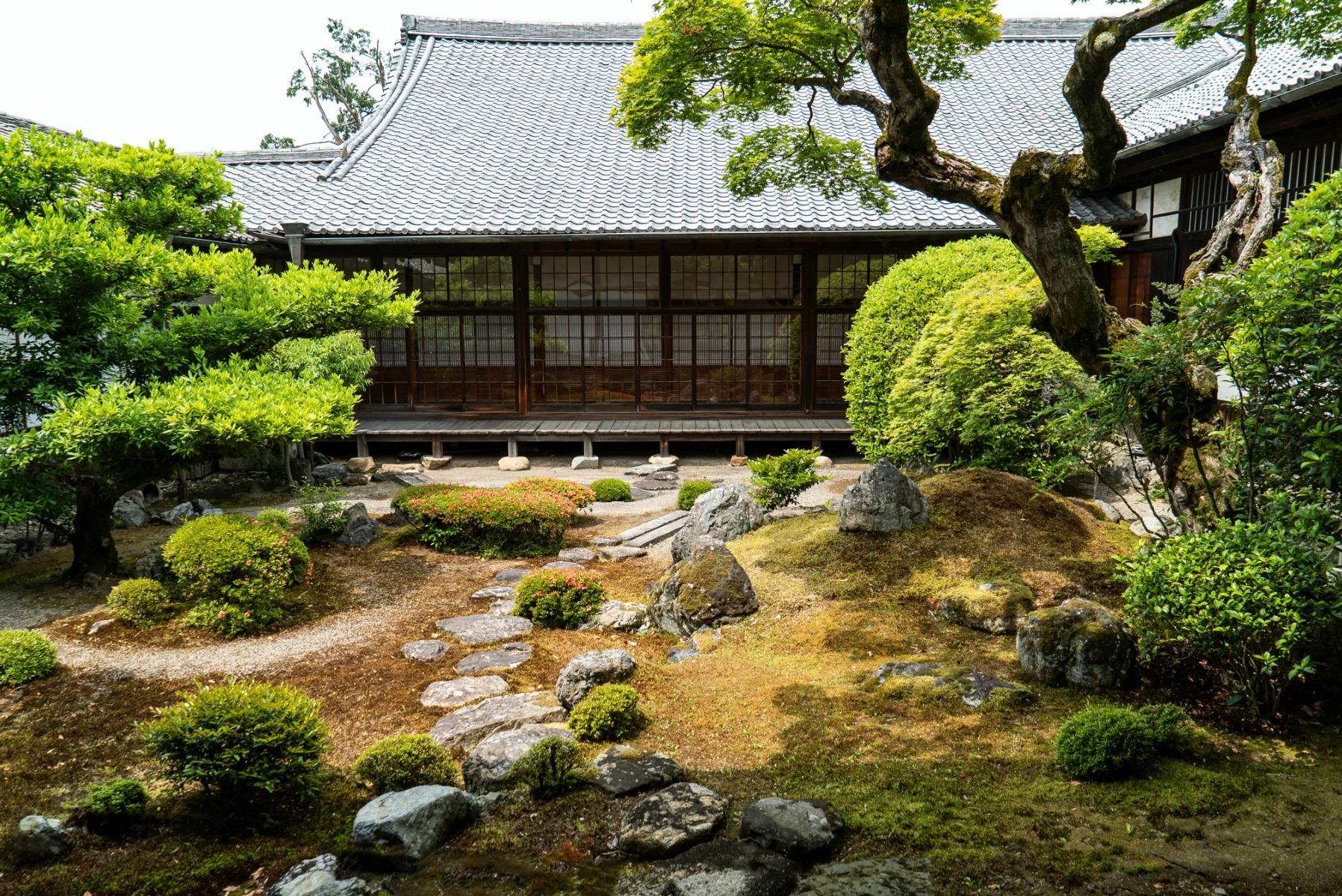 Green Japanese Zen garden outside a big house