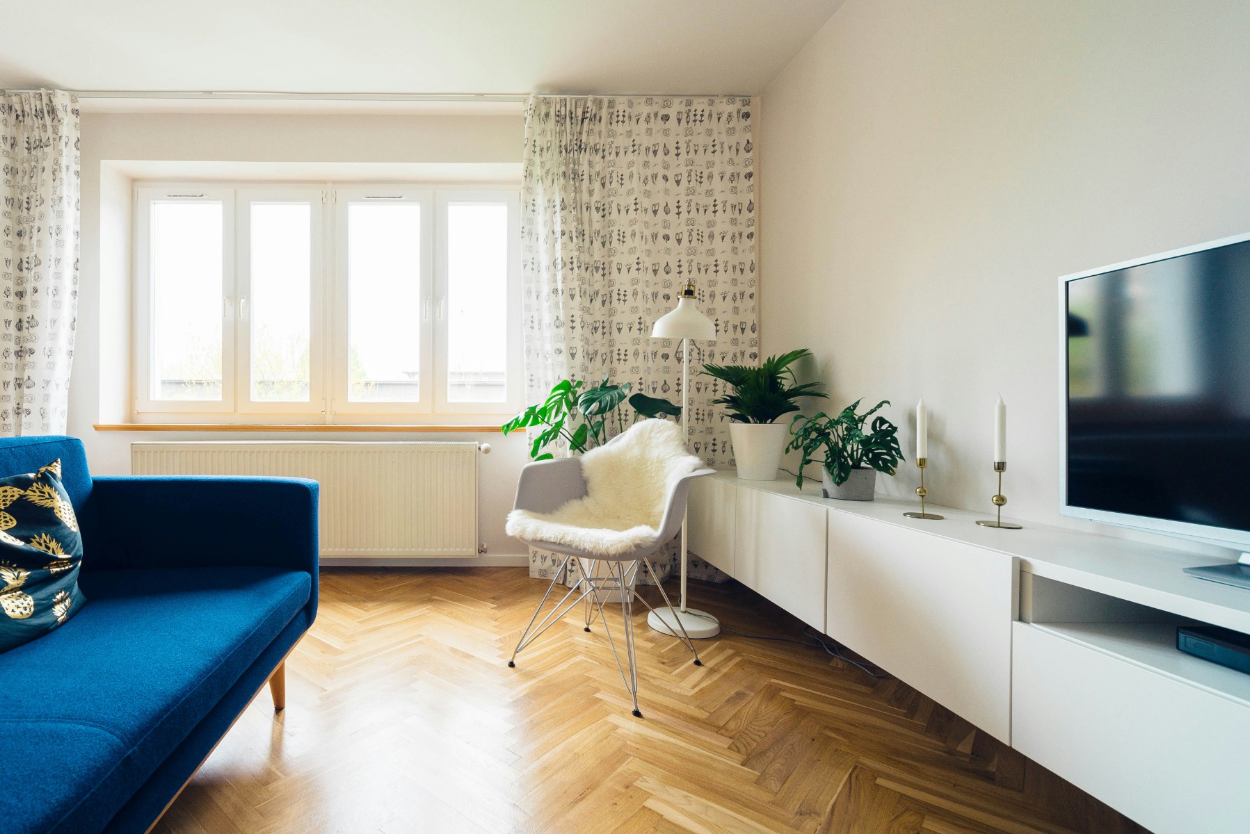 Contemporary living room with blue sofa and houseplants