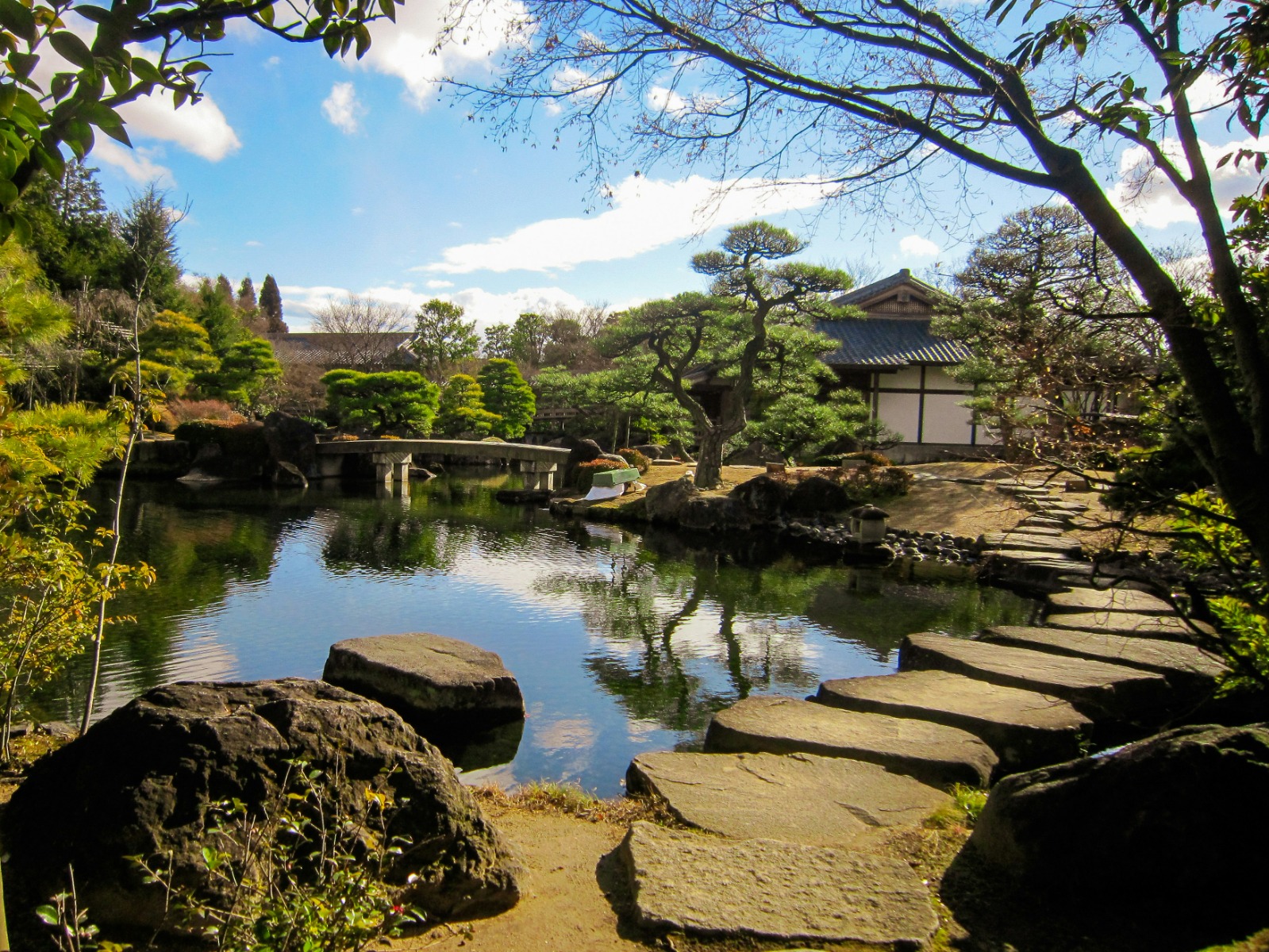 Zen garden with trees, bridge and water feature