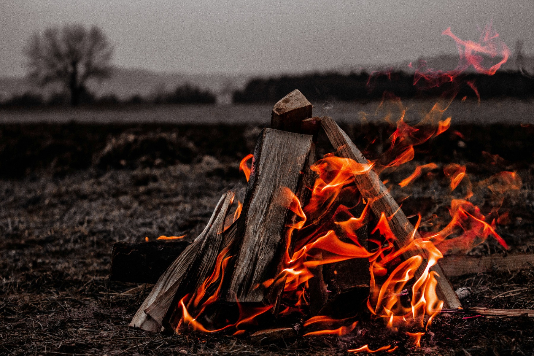 Logs burning in an empty field