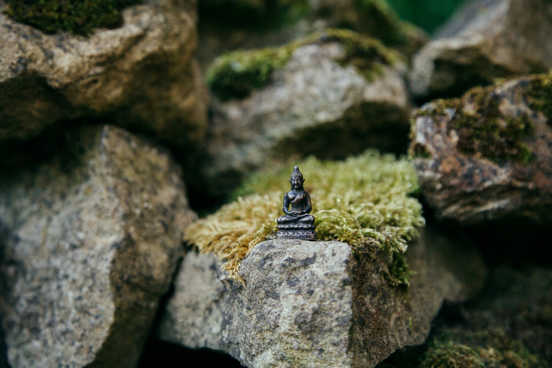 Miniature Buddha statue on a rock