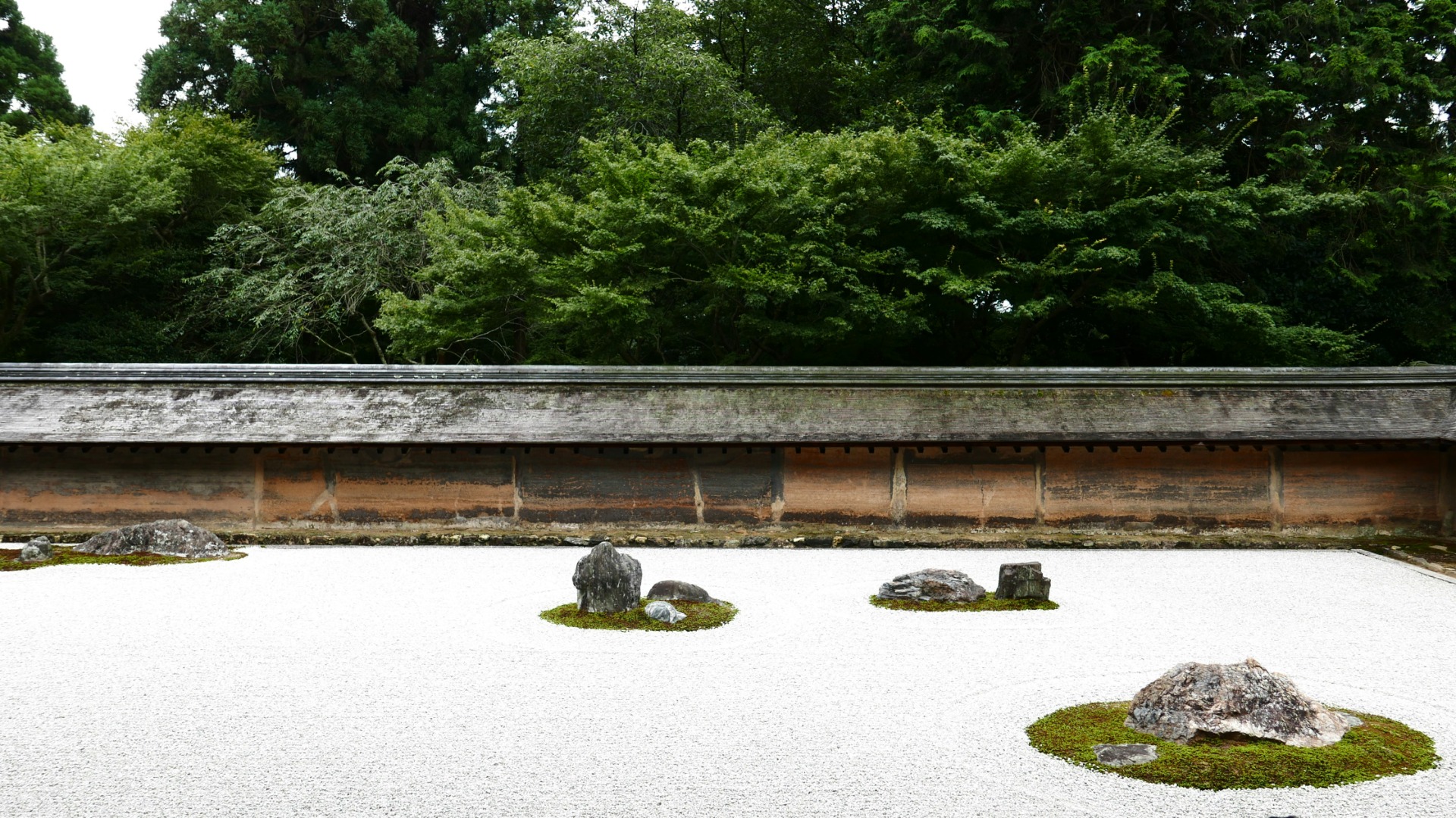 Small rocks and greenery in gravel