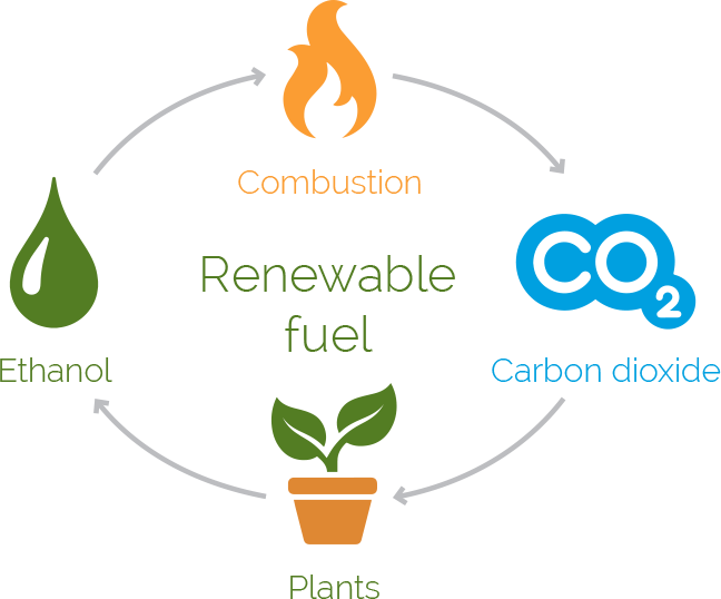 What Is A Bio Ethanol Fireplace & How Do They Work?